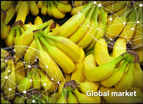 Overview Global Banana Market