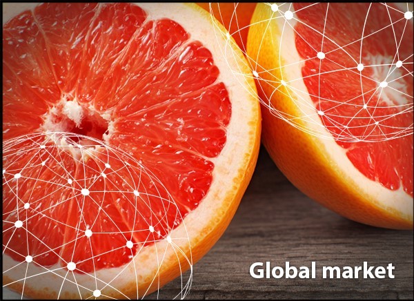 grapefruit crypto price