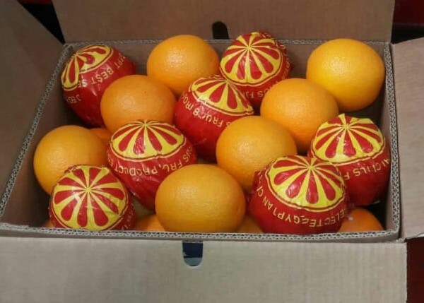 fruit shipping