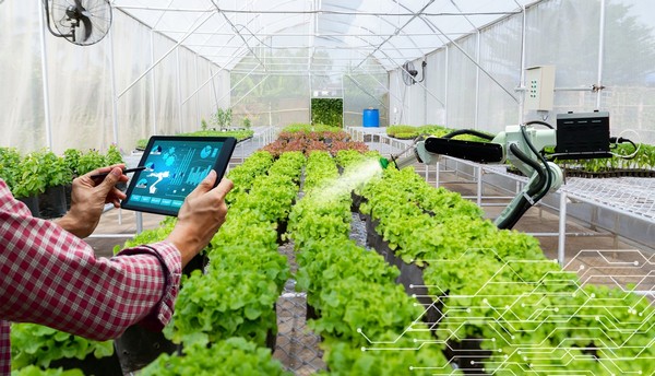 Nuevo enfoque de AgTech India en seguridad alimentaria y trazabilidad
