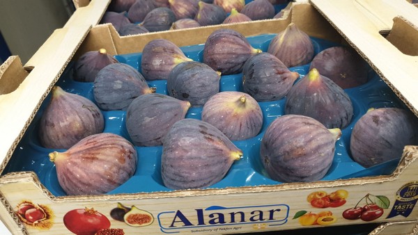 “Demand for Turkish figs increase every year”