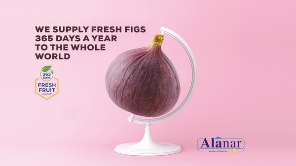 Demand For Turkish Figs Increase Every Year