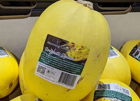 Consumer Engagement The Key For The Growth Of Spaghetti Squash In Australia