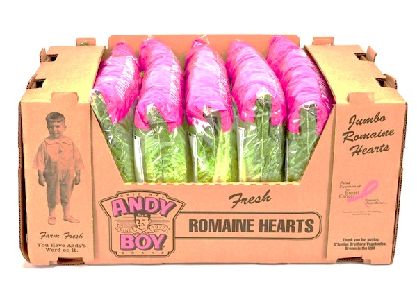 Romaine Hearts - Andy Boy