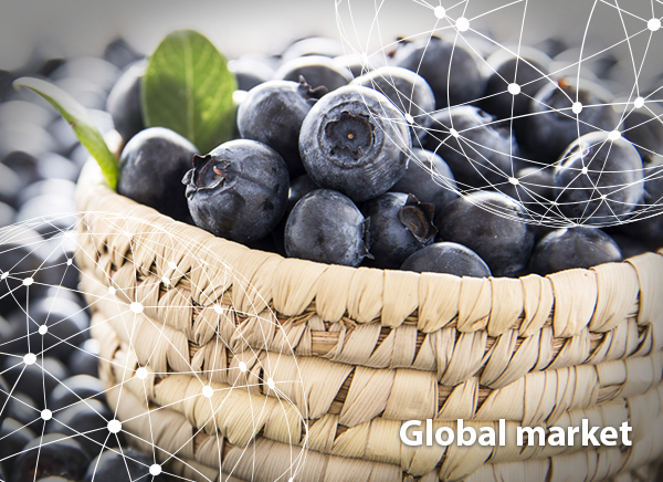 Blueberry markets spread