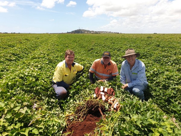 Carter Spencer Group And Bundaberg Sugar Ltd Form Partnership And Start Bundaberg Fresh