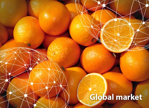 OVERVIEW GLOBAL ORANGE MARKET - Vimarsana News