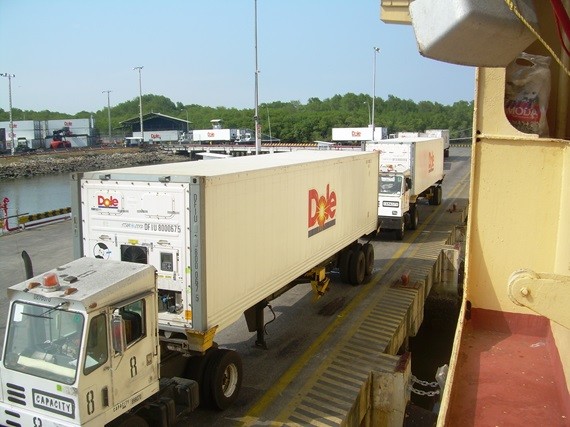 Dole Food Company orders 500 energy efficient Star Cool reefer units from Maersk Container Industry - Vimarsana News