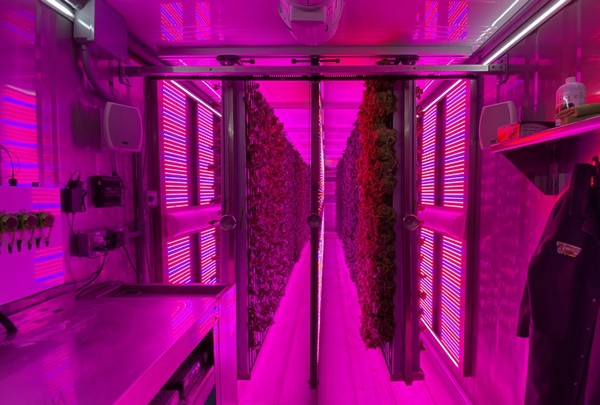 New partnership brings clean energy to indoor farming - Vimarsana News