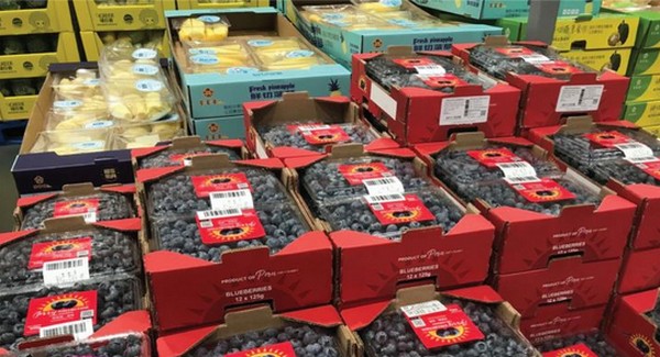Chinese import fruit market gradually recovers after pandemic - Vimarsana News