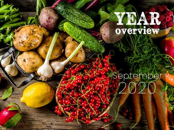Year overview 2020: September - Vimarsana News