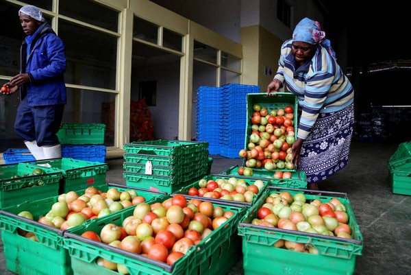FAO launches the UN's International Year of Fruits and Vegetables 2021 - Vimarsana News
