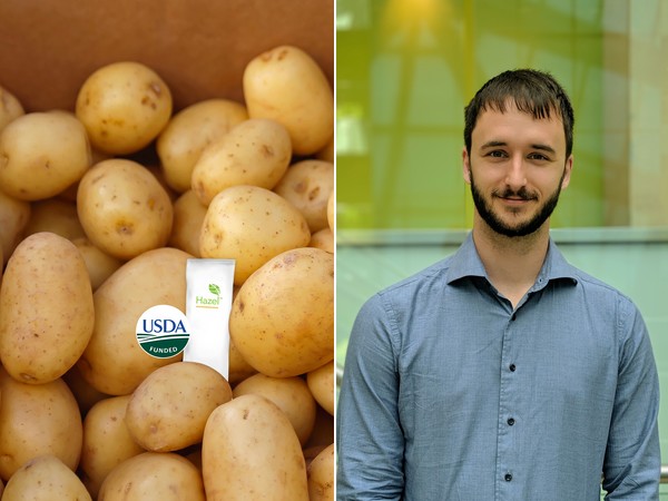 Hazel Tech receives USDA funding for potato quality technology - Vimarsana News