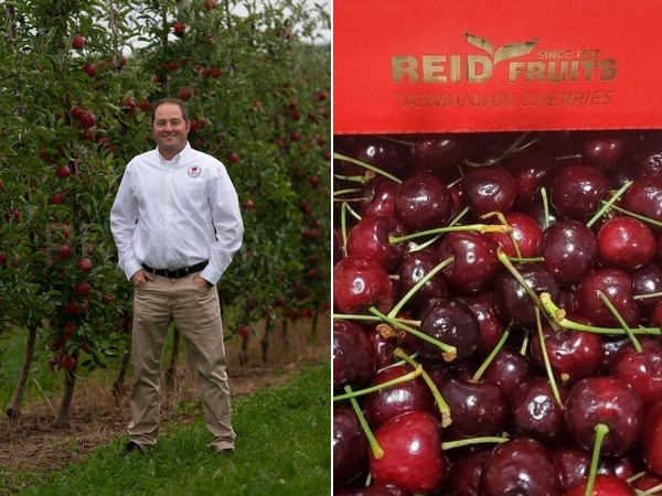 Winter import cherry program continues expanding - Vimarsana News