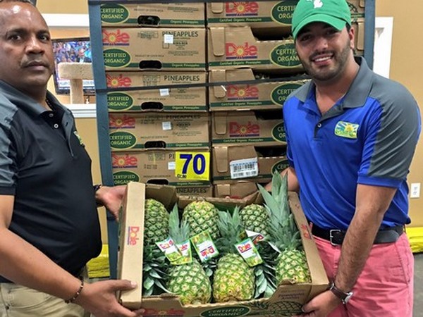 Pineapple movement surprisingly slower than normal - Vimarsana News