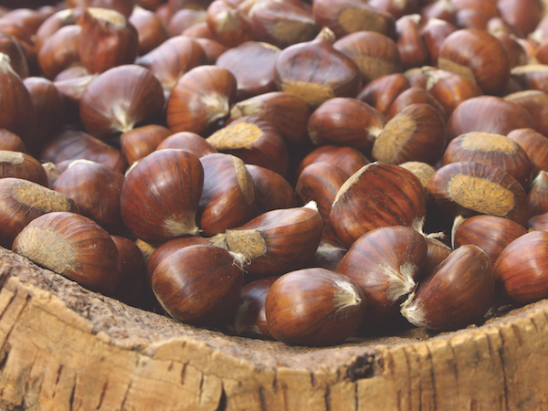 Increased demand for chestnuts this holiday season as consumers cook more at home - Vimarsana News