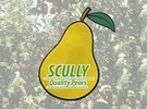 Effects of the pandemic on Californian pear growing and packing season - Vimarsana News