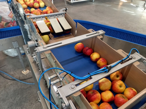 "Bruised apples a thing of the past with this weigher" - Vimarsana News
