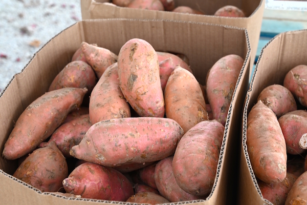 https://agfstorage.blob.core.windows.net/misc/FP_com/2021/01/07/SweetPotatoes1.jpg