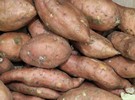 Andrew Forrest expands 'agrifood' operations at WA's Brick House Station - Vimarsana News