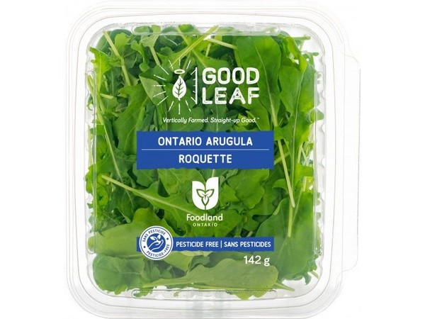 GoodLeaf greens now available at whole foods market stores - Vimarsana News