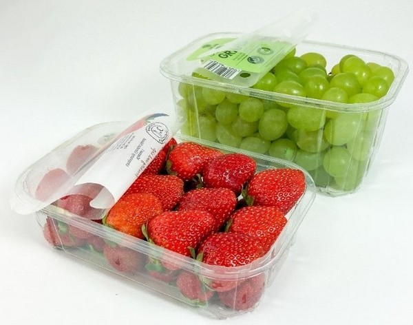 Innovation and sustainability driven by top-sealed packaging solutions - Vimarsana News