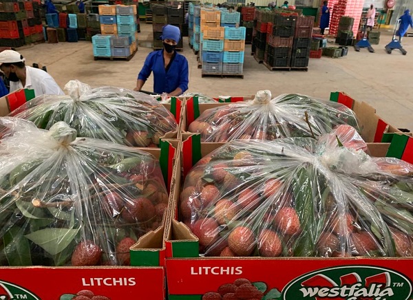 First normal litchi season in a while as new avo campaign approaches - Vimarsana News