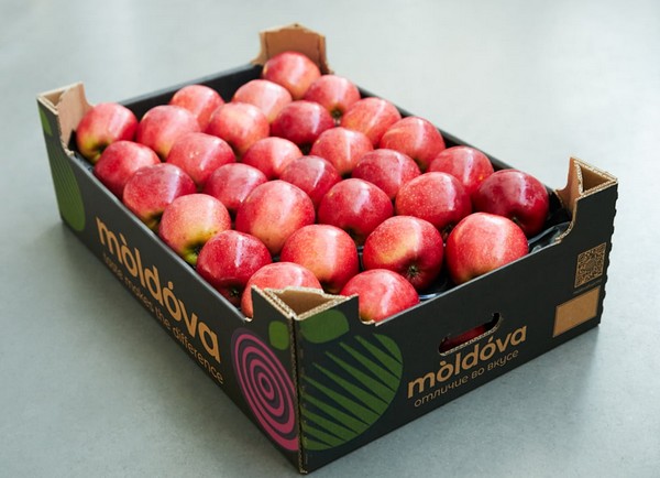Start of rebranding Moldovan fruit products - Vimarsana News