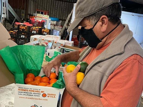 California growers more than welcome the rain - Vimarsana News