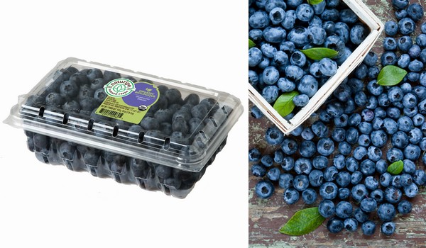 Blueberry grower-marketer celebrates first peak organic season of 2021 - Vimarsana News