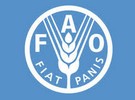 Fruit and vegetable safety in Kyrgyzstan - Vimarsana News