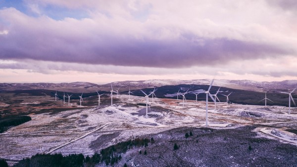 Total Produce UK completes transition of 24 sites to 'Deep Green' renewable energy - Vimarsana News