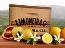 Limoneira announces new Director of Human Resources - Vimarsana News