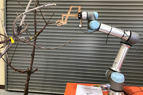 WSU partners with Netherlands, Washington growers to improve orchard robotics & automation - Vimarsana News