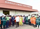 Teso fruit growers frustrated as Soroti Fruit Factory fails to meet expectations - Vimarsana News