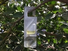 Bayer to launch Vanity Citrus®, its new biological product to control citrus farm pests - Vimarsana News
