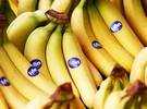Fyffes commits to reducing food loss in its own operations by 80% by 2030 - Vimarsana News