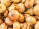 USDA announces suspension of South Texas Onion marketing order provisions - Vimarsana News