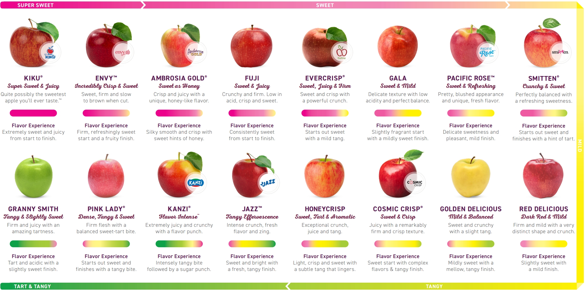 Apple Sweetness Chart Cosmic Crisp