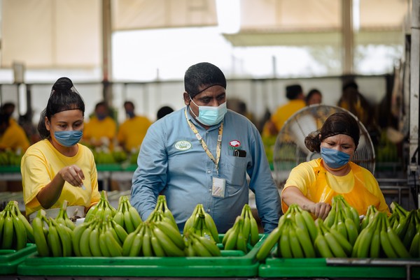 "The coming years will bring expansion in organic production and investment in technology" - Vimarsana News