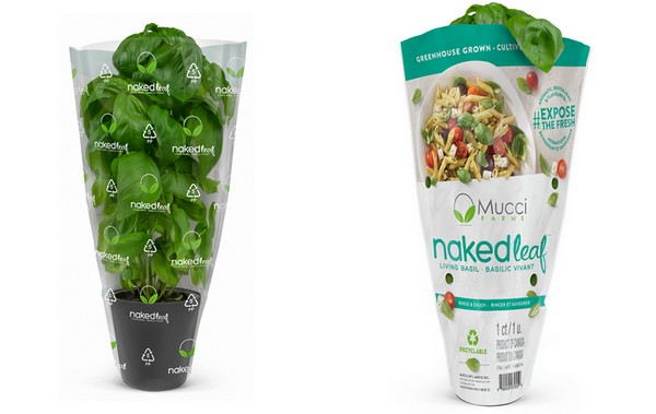 Who is the winner of this year's CPMA Packaging Innovation Award? - Vimarsana News