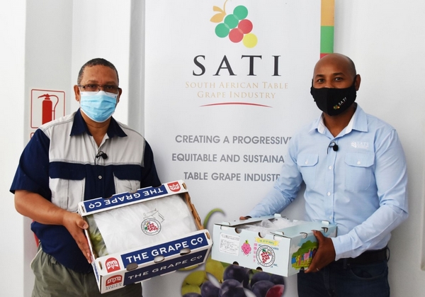 Table grape industry set for record year - Vimarsana News