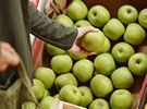 Moldova ponders how remaining stocks of apples can be sold by June 2021 - Vimarsana News
