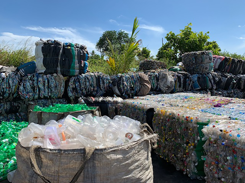 Berry Gardens to use 'Prevented Ocean Plastic' for punnets - Vimarsana News