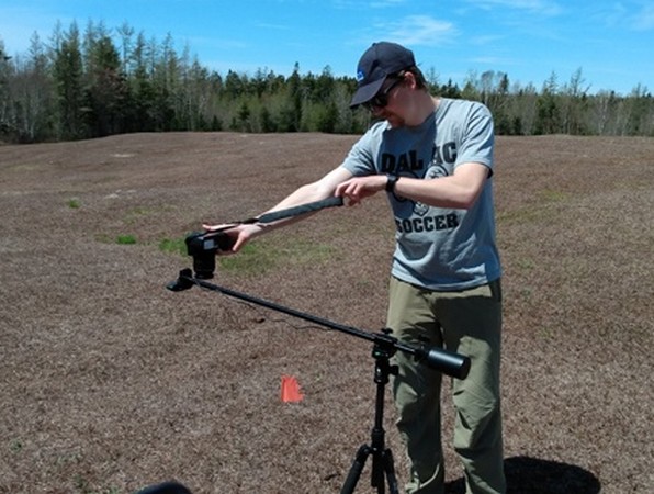 Emerging smart technology makes farming blueberries cheaper and more environmentally friendly - Vimarsana News