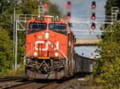 FFWD Fresh Rail wants to prove that shipping fresh products is easy - Vimarsana News