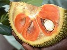 Southwestern Vietnam's red-flesh jackfruit sells well in Hanoi - Vimarsana News