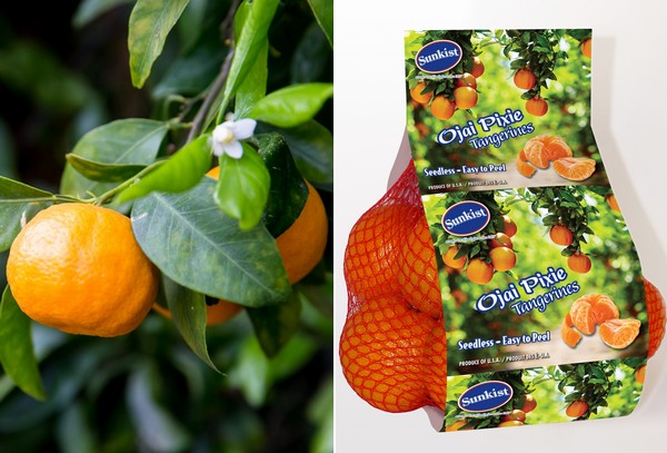 Seedless Pixie Tangerines 2lb Bags