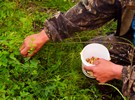 Morocco allows strawberry harvesters to come back from Huelva - Vimarsana News