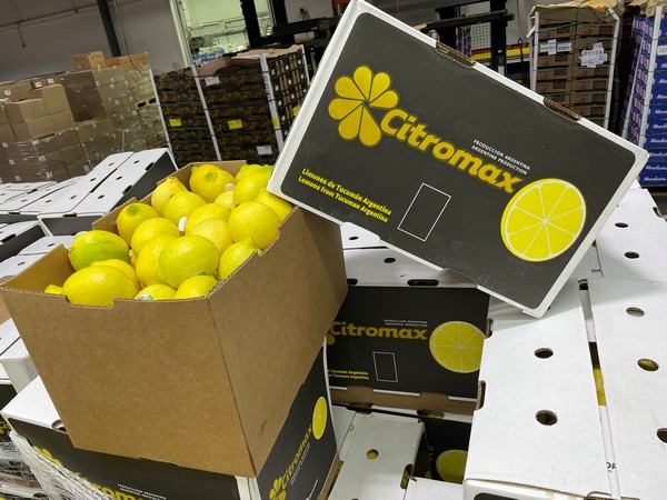 Los Limones De Alta Calidad Distinguen A Argentina De Otras Zonas ...